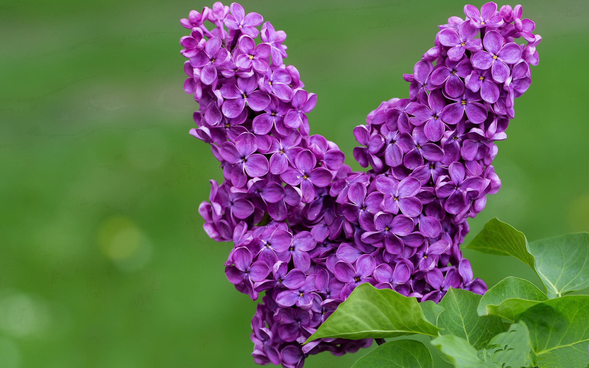 _复古风大型电影主题网球赛:兼具娱乐与竞技_,经典网球比赛