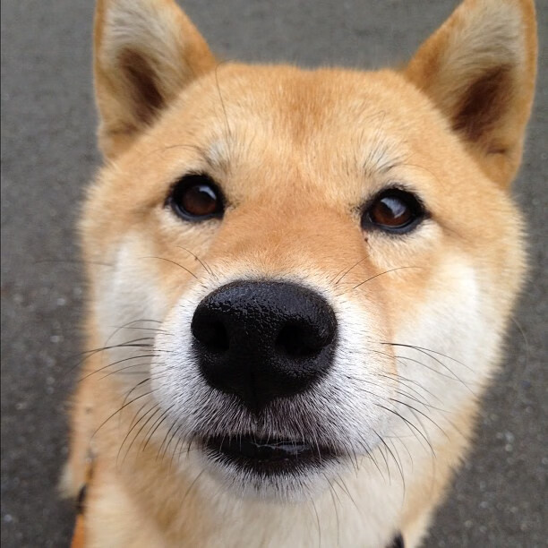 合作签约档:联盟与大牌品牌的最新合作项目,合作签约流程怎么写