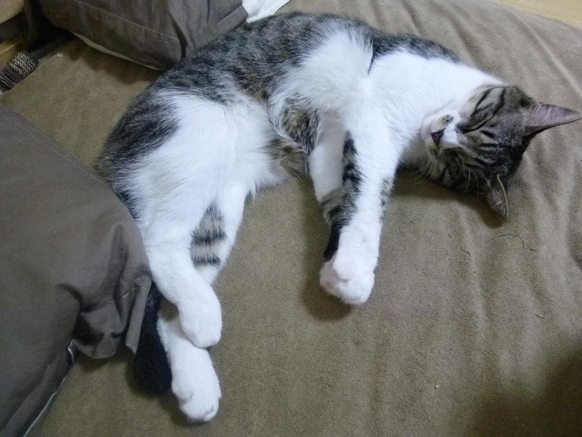 英雄联盟校园赛火热进行中，校园电竞热潮不断，校园电竞联盟比赛视频