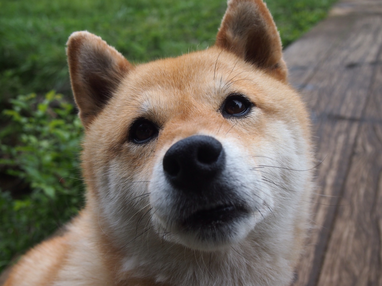 赛场上最具争议的判罚回顾,赛场上裁判错了怎么办