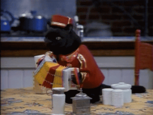 同曦队青年球员成长速度加快，同曦队青年球员成长速度加快的原因