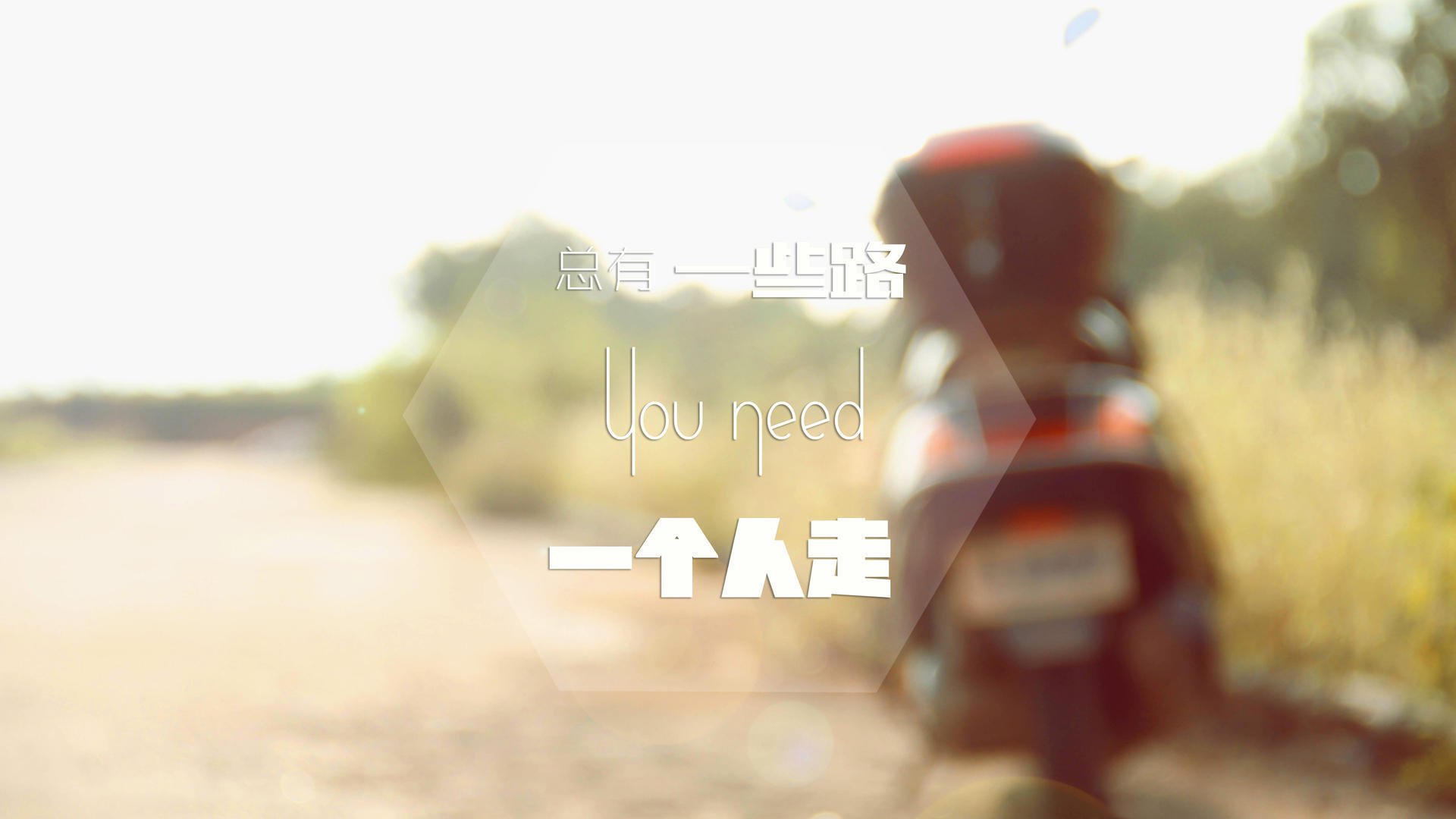 猛龙队球员高效表现，帮助球队取得连胜，猛龙队主力球员