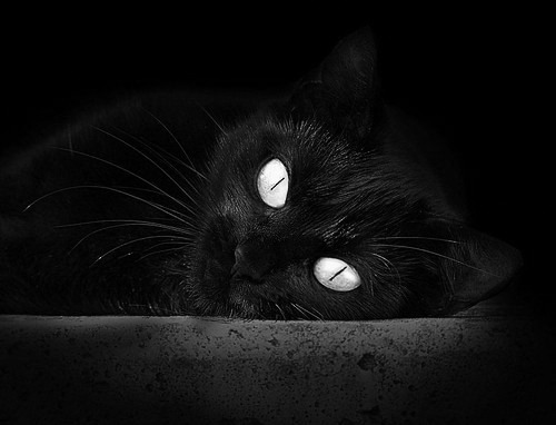 皇马客场1-1战平西班牙人，保持不败纪录，皇马对战西班牙人视频直播