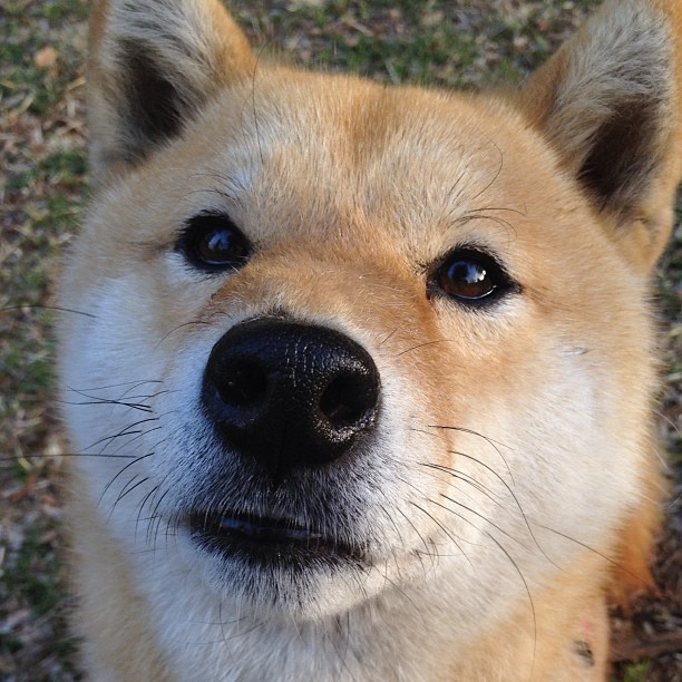 英格兰球员团结一致，卢森堡队惨败,实力悬殊导致的比赛结果显现无疑