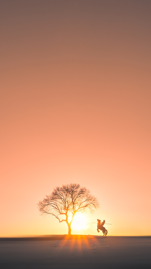 中国篮球青训体系课程标准化建设,青少年篮球培训课程体系