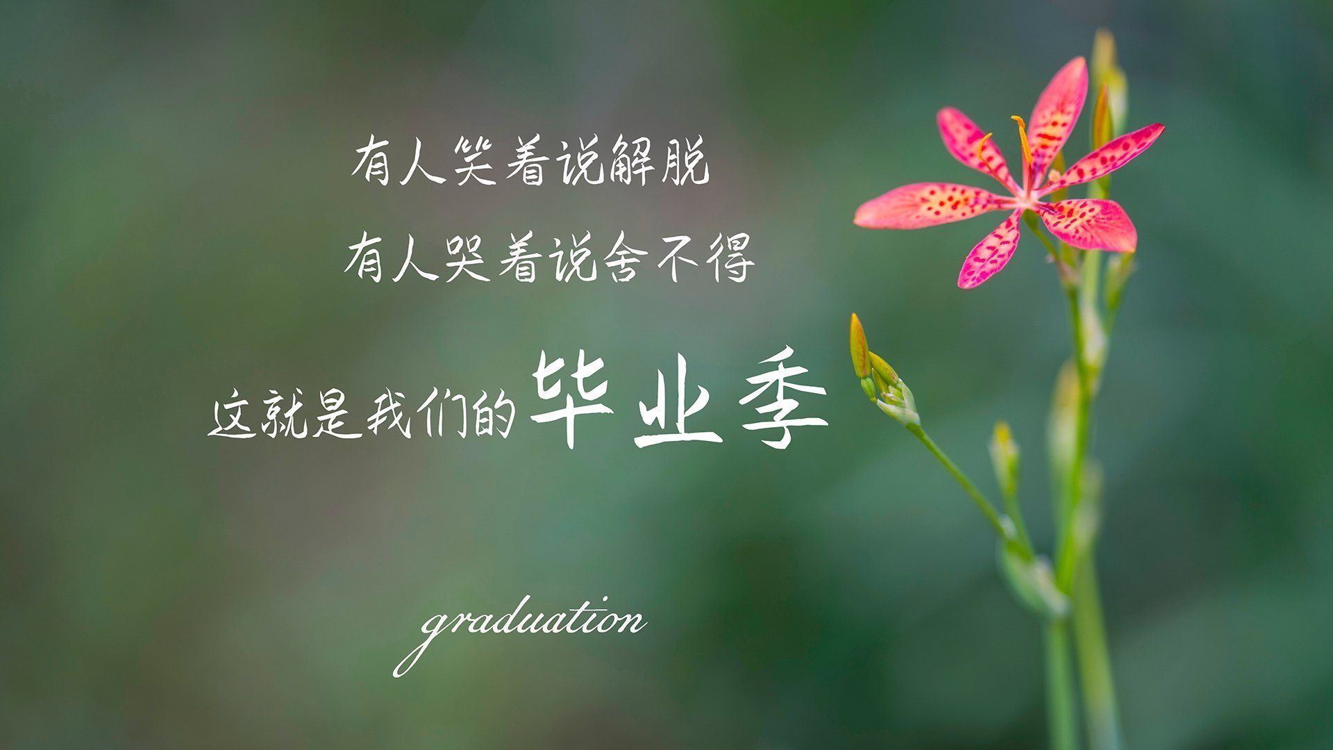 “四川省体育馆拳击赛：全球拳击迷的热血之约，谁能用拳头书写传奇？”