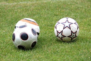 基层足球俱乐部资金短缺，基层足球俱乐部资金短缺的原因