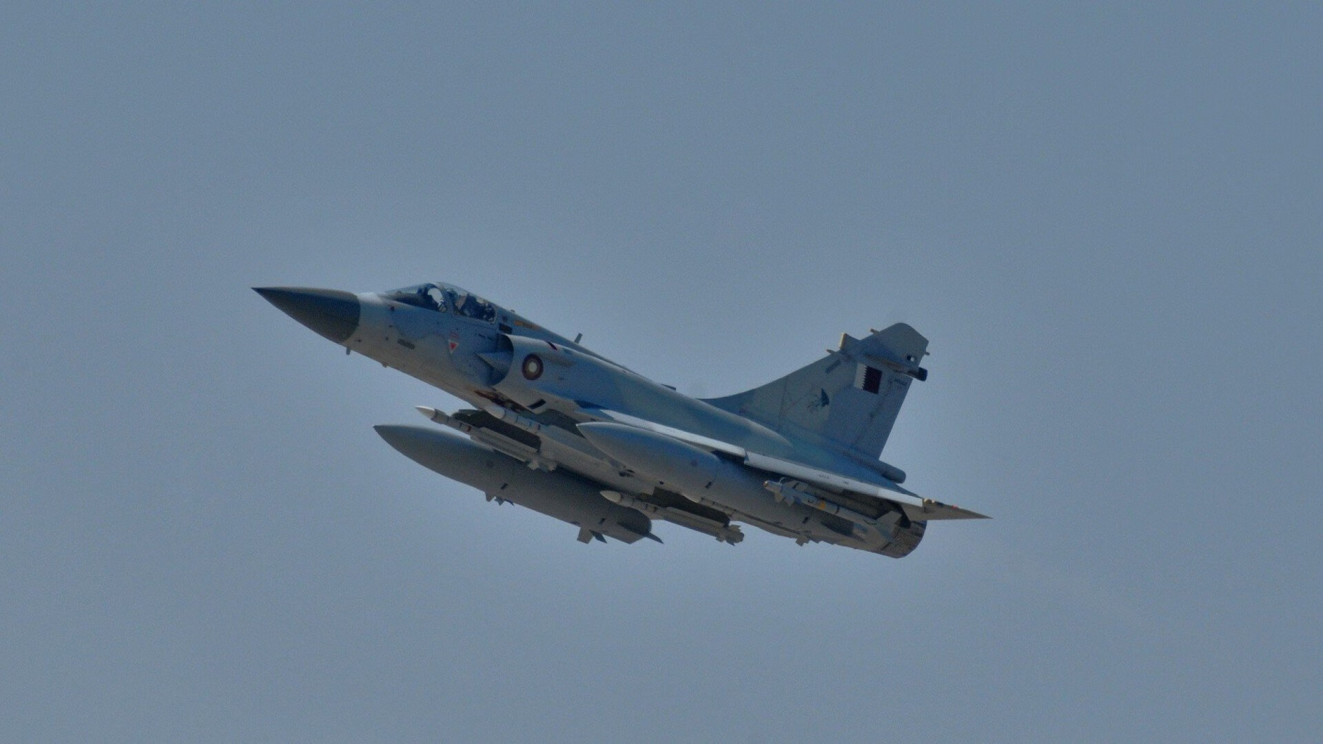 帕利斯特女子自由泳项目冉冉升起新星，帕特里斯